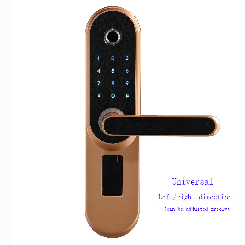 Fingerprint password lock door