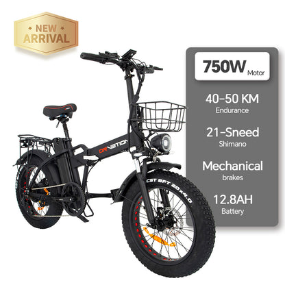 ELETRIC  BIKE PAIR   DRVETION