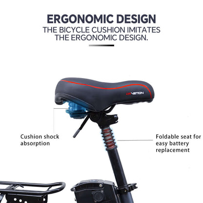 ELETRIC  BIKE PAIR   DRVETION