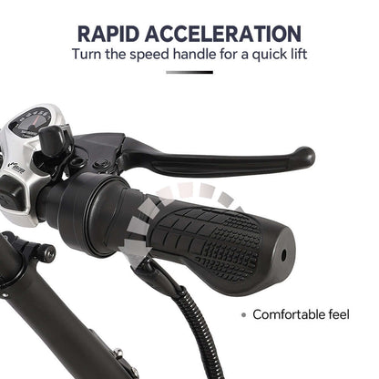 ELETRIC  BIKE PAIR   DRVETION