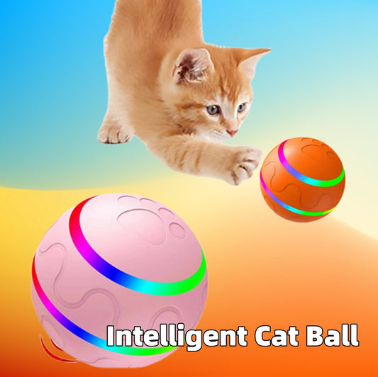 RACING ROLLER BALL