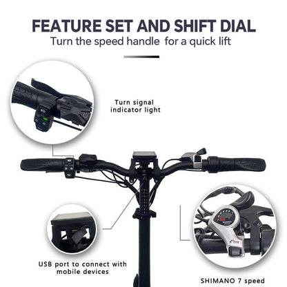 ELETRIC  BIKE PAIR   DRVETION